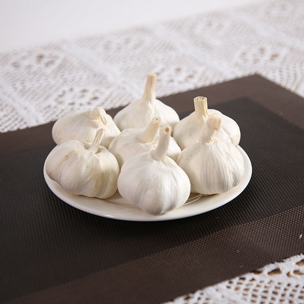 白蒜报价