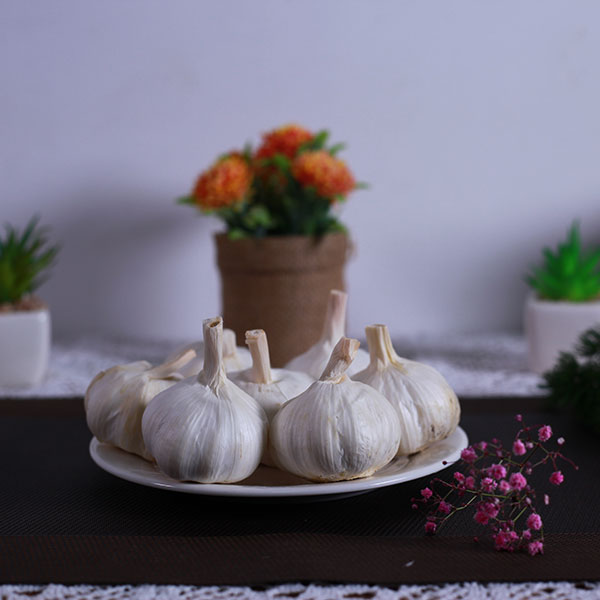 白蒜热销