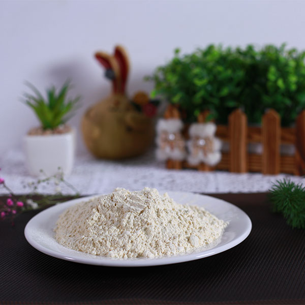 蒜粉100-120目批发