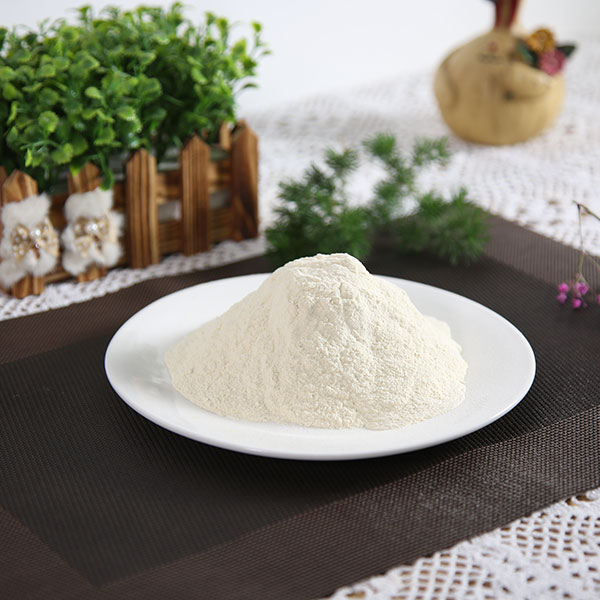 蒜粉80-200目报价