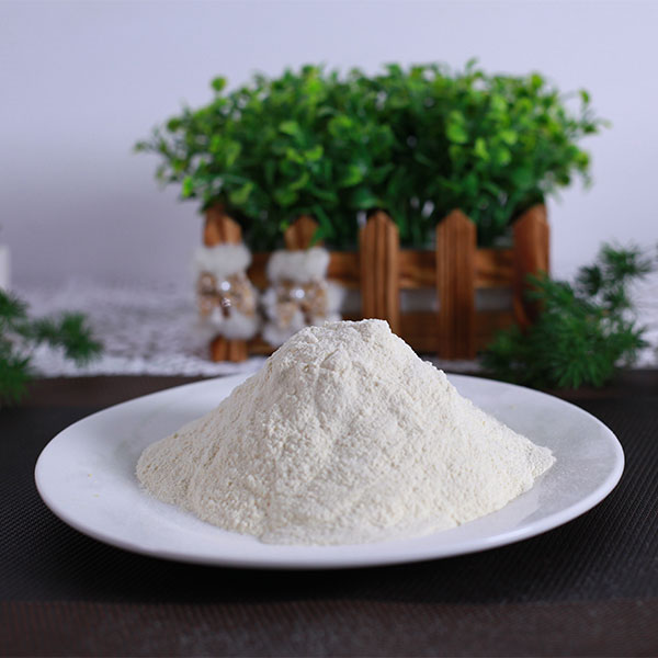 蒜粉80-200目供应