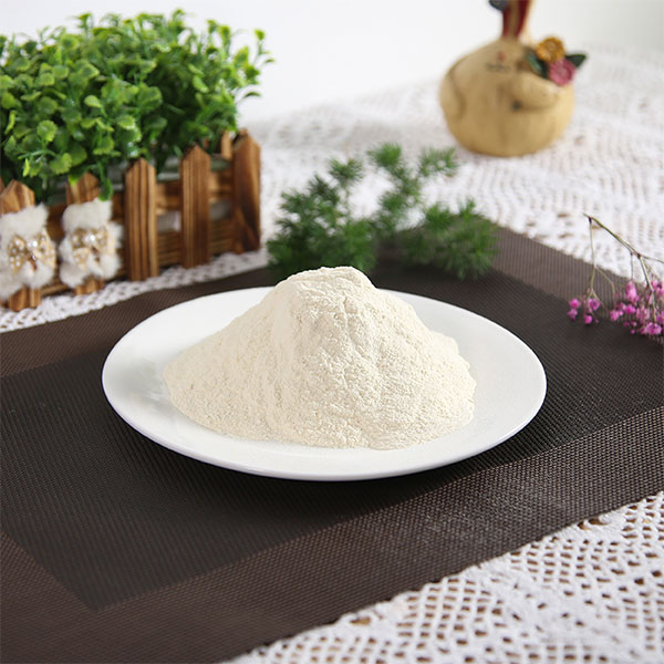 蒜粉80-200目热销