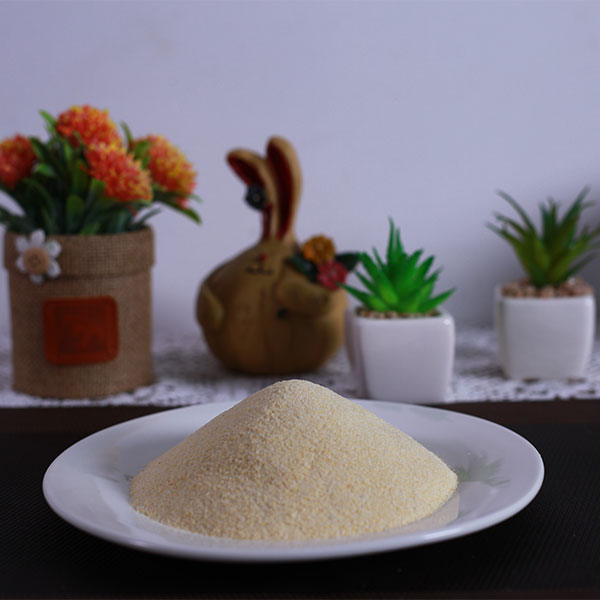 蒜粒40-80目代理