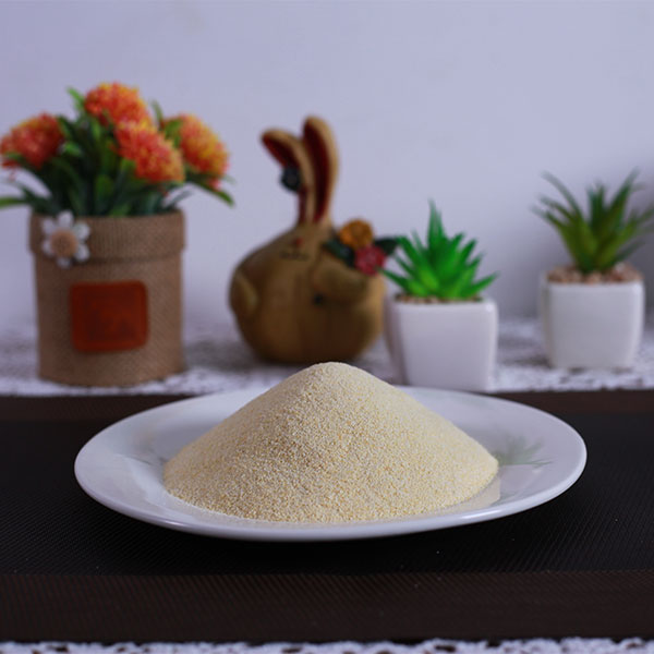 蒜粒40-80目招商