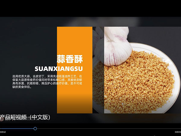 产品短视频（中文版）